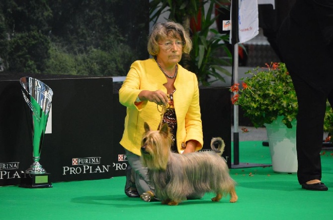 de l'Edenland - Exposition Internationale Besançon - 20 septembre 2015