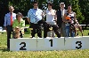  - DADY DARK MOORE DE L'EDENLAND CHAMPION SUISSE DE BEAUTE 